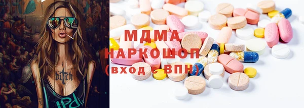 шишки Тайга