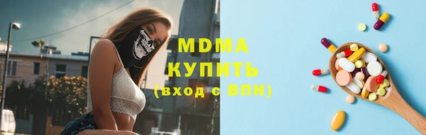 шишки Тайга