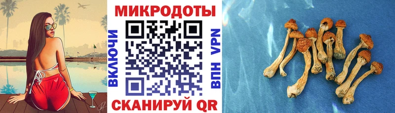 гидра вход  Очёр  Псилоцибиновые грибы прущие грибы 